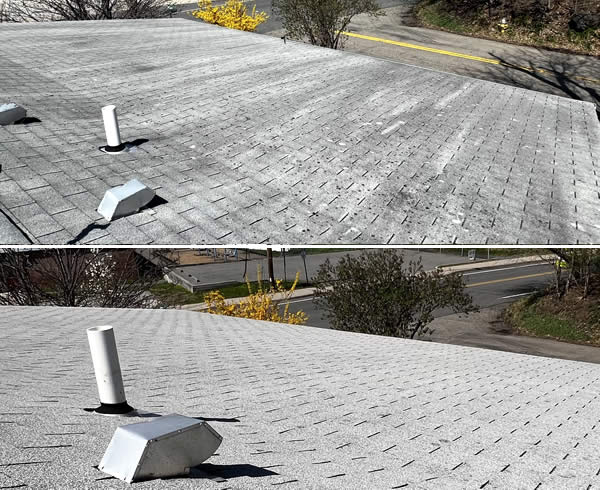 Roof Soft Washing Services Westchester and Putnam County NY
